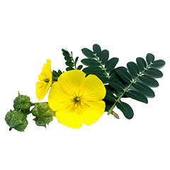 Built for endurance.